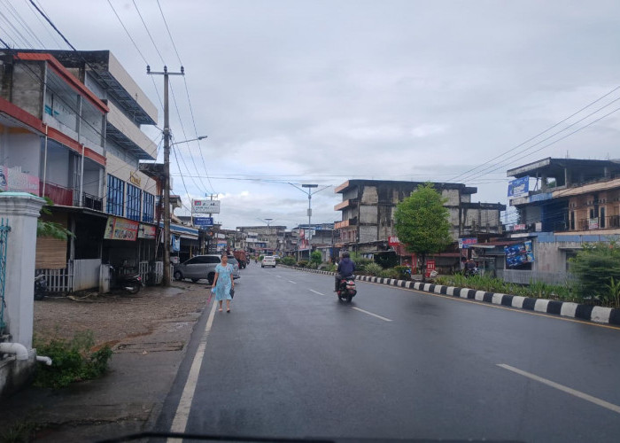 Pengusaha Tak Mau Jujur, Pajak Sarang Walet di Bengkulu Selatan Hanya Rp3 Juta, Bapenda Ungkap Kendalanya