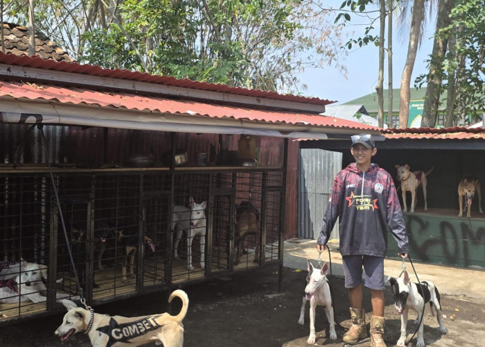 Porbi Combat Targetkan Bantu Petani Lewat   Berburu Hama Babi, Team Hanya Butuh Ini!