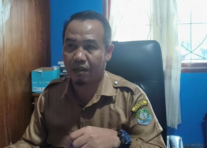 Tahun Ini, Pemda Kaur Ajukan Penerimaan CPNS, Segini Kuota Diusulkan 