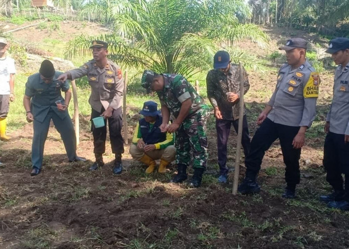 Dukung Swambada Pangan Presiden, Polri dan TNI Manfaat Lahan yang Produktif