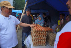 Pemprov Bengkulu Gelar Pasar Murah, Benaran Murah Harganya? Ya, Telur Rp 50 Ribu Per Karpet 