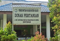 Ternyata Kejati Bengkulu Telah Terima SPDP Kasus Dugaan Korupsi Dinpertan Kaur, Siapa Tersangkanya?