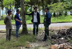 Koramil 408-04/KS Cek Kesiapan Lahan  Pembangunan Gerai Koperasi Merah Putih 