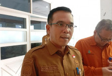 Harga Bahan Pokok di Bengkulu Sempat Tertinggi Nasional, Inilah Daerah Terakhir Turun Harga! 