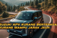 Suzuki APV Kurang Bertenaga, Kurang Mampu Jarak Jauh