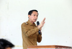 Waspada Kebakaran, Bupati Kaur Ingatkan Empat Poin Penting Ini ke Masyarakat 