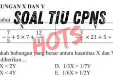 Penting Menguasai Materi Silogisme dalam TIU SKD CPNS 2024, Berikut Contoh Soalnya