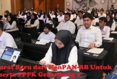 Peserta PPPK Gelombang 2 Wajib Perhatikan Syarat Baru dari MenPAN–RB Berikut Ini