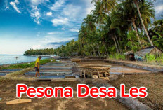 Mengunjungi Desa Les, Desa Wisata di Bali Yang Miliki Potensi Orisinil