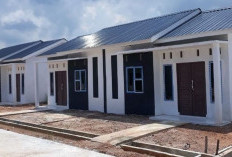 Ini Alasan Rumah Subsidi di Bawah Rp 200 Juta Jadi Incaran Keluarga Muda Masa Kini