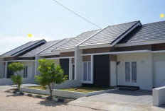 Bisakah Rumah Subsidi Langsung Direnovasi Setelah Akad KPR? Simak Penjelasan Lengkapnya!