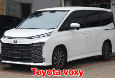 Kredit Toyota Voxy 2019 Bekas di CIMB Niaga Ternyata Cuma Segini Loh, Yuk Buruan Cek Simulasinya di Sini!