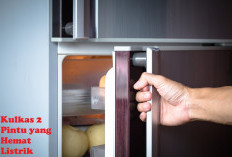 Butuh Kulkas 2 Pintu yang Hemat Listrik Tanpa Bunga? Ini Pilihannya!