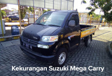 Wajib Tahu! Ini 5 Kekurangan Suzuki Mega Carry yang Jarang Disadari