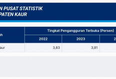 3 Tahun Berturut, Angka Pengangguran di Kabupaten Kaur Terus Menurun