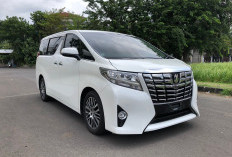 Berapa Pajak MPV Mewah Toyota Alphard, Ramah di Kantong Nggak Ya? Kepoin di Sini