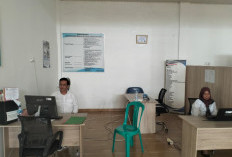 UMKM Diwajibkan Miliki NIB dan PBG, DPMTPSP Kaur Dorong Legalitas Pelaku Usaha 