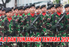 Tukin KSAD Tembus Segini! Berikut Gaji dan Tunjangan Tentara 2024, Mulai Tamtama Hingga Jenderal