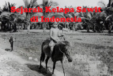 Sejarah Kelapa Sawit di Indonesia, Ini Perkembangannya di Era Belanda