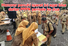 Tidak Sembarangan, Hanya Honorer yang Penuhi Syarat Ini Bisa Mendaftar PPPK Periode Kedua