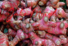 7 Tanaman Obat Yang Bisa Jadi Obat Sesak Napas, Apa Saja Sinak Artikel Ini! 