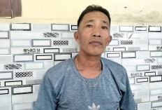 Konflik dengan PT KGS di Maje Memanas, Kades Kerahkan Warga Panen Sawit 