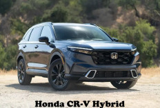 Sebelum Beli Honda CR-V Hybrid, Cek Dulu Pajak Tahunannya di Sini, Mahal Atau Murah