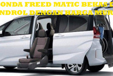 Honda Freed Matic Bekas Dibandrol dengan Harga Murah, Jadi Segini!