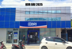 Butuh Modal Usaha Ajukan Pinjaman KUR BRI 2025, Catat Syarat dan Cara Daftarnya di Sini!