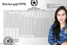 Rincian Gaji PPPK 2024 Berdasarkan Golongan yang Akan Diberikan Setiap Bulan, Ini Dasar Hukumnya