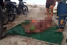 BREAKING NEWS! Warga Digegerkan Penemuan Jenazah Pria di Labuhan Merpas