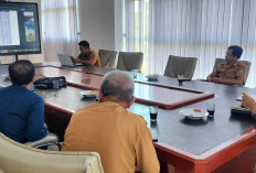 Stok dan Harga Bahan Kebutuhan Pangan   di Kaur Aman, Begini Penjelasan Lengkapnya!