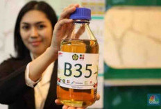 Tekan Impor BBM, B35 dan Bioetanol   Solusinya, Berikut Penjelasannya 