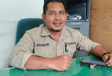 Didominasi Tiga Sekolah, Ini Daftar Nama 30 Paskibra Kaur