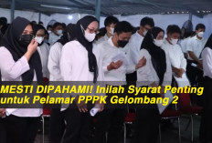 MESTI DIPAHAMI! Inilah Syarat Penting untuk Pelamar PPPK Gelombang 2