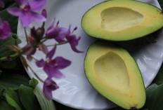 Ingin Punya Kulit Cerah, Ini Beragam Makanan yang Wajib Dikonsumsi