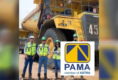 LOKER! PAMA Terbaru di Mei 2026 Dibuka untuk Posisi Surveyor hingga Dispatcher, Ini Persyaratannya!