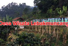 Lebakmuncang Desa Wisata Eksotis   Penuh Edukasi, Cek Keunggulannya 