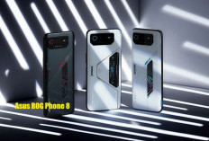 Asus ROG Phone 8: Handphone Flagship Paling Komplet, Cocok Untuk Hal Ini!