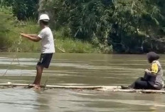 Kometmen Tugas, Polwan Polsek Kota Manna Tinjau Lahan Jagung Lewati Sungai Gunakan Ini