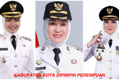 Ternyata Banyak Kabupaten/Kota Dipimpin Perempuan, 3 Bupati Perempuan di Sumatera, Berikut Namanya