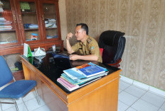 Diskoperindag Kaur Akan Sidak Beras Oplosan, Konsumen Diminta Waspada, Bahayakan Kesehatan