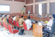 Hadapi Tantangan Ekonomi Kian Sulit, Berikut Harapan Wabup Bengkulu Selatan