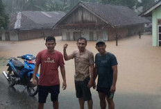 BREAKING NEWS! Hujan Lebat, Sambat dan  Jalinbar Sumatera Dua Kecamatan Banjir