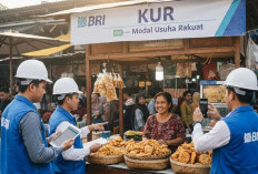 Sering Gagal di Tahap Survei, Ini Cara Menaklukkan Penilaian Lapangan KUR 2026