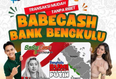 Tabel KUR Bank Bengkulu Juli 2026 Terbaru, Pinjam Rp 50 Juta Cicilan Mulai Seginian!