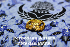 Sama Abdi Negara, Tapi Berbeda Status, Inilah Perbedaan Antara PNS dan PPPK