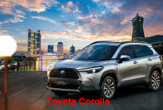 Persaingan di Segmen SUV Kompak Makin Sengit , Toyota Corolla Cross Vs Mobil Honda HRV, Mana yang Lebih Worth 