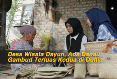 Desa Wisata Dayun, Ada Danau Gambud Terluas Kedua di Dunia