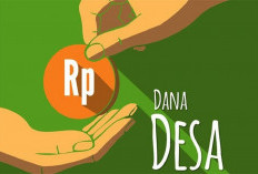 2025 DD di Provinsi Bengkulu Turun Rp 15 M,   DJPb: Penyebabnya Terjerat Kasus Korupsi